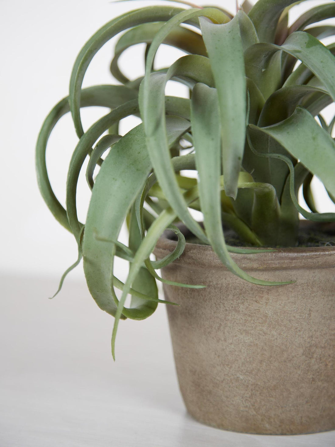 Faux Tillandsia Plant in Pot