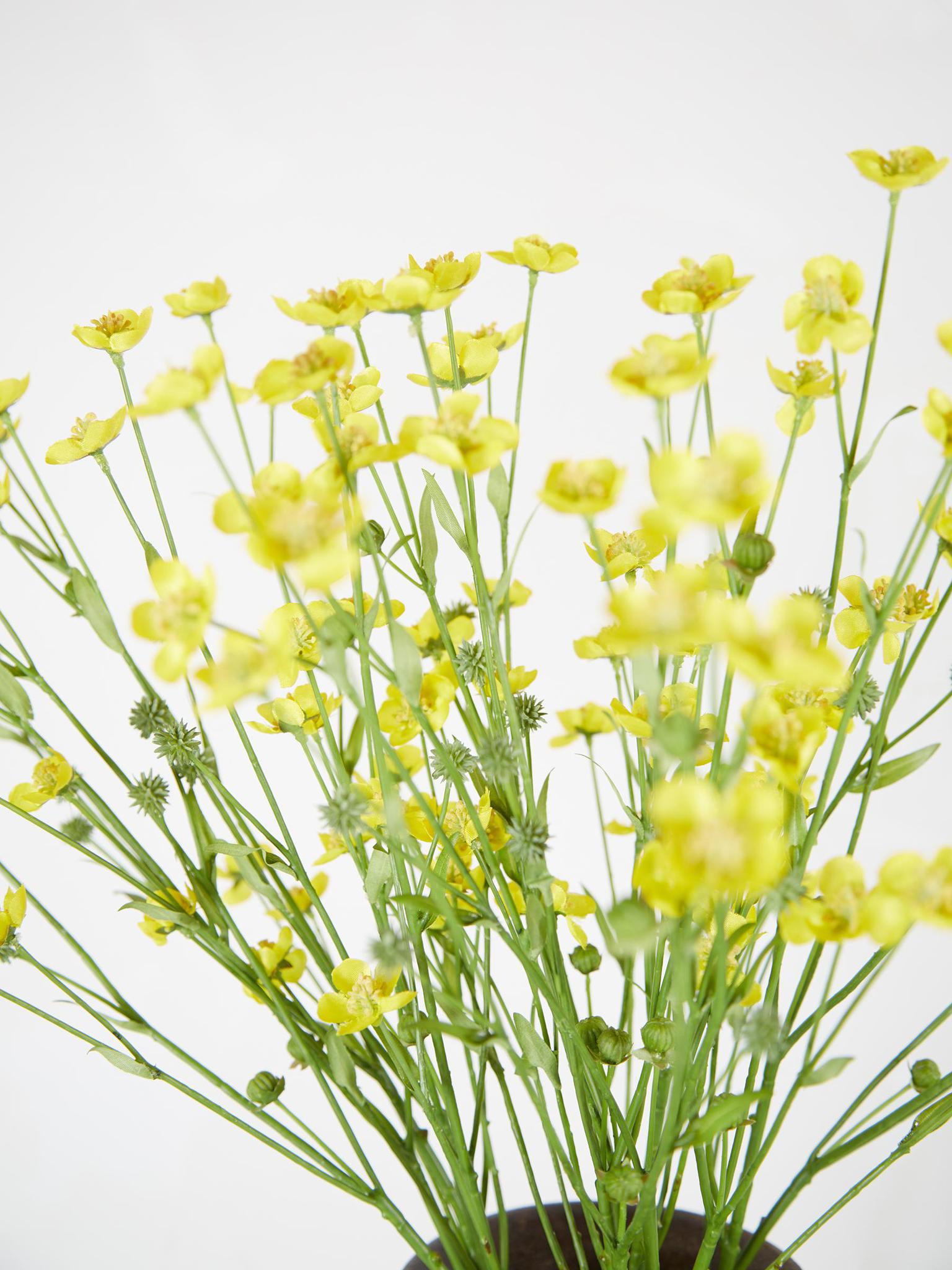 Buttercup Spray Stem