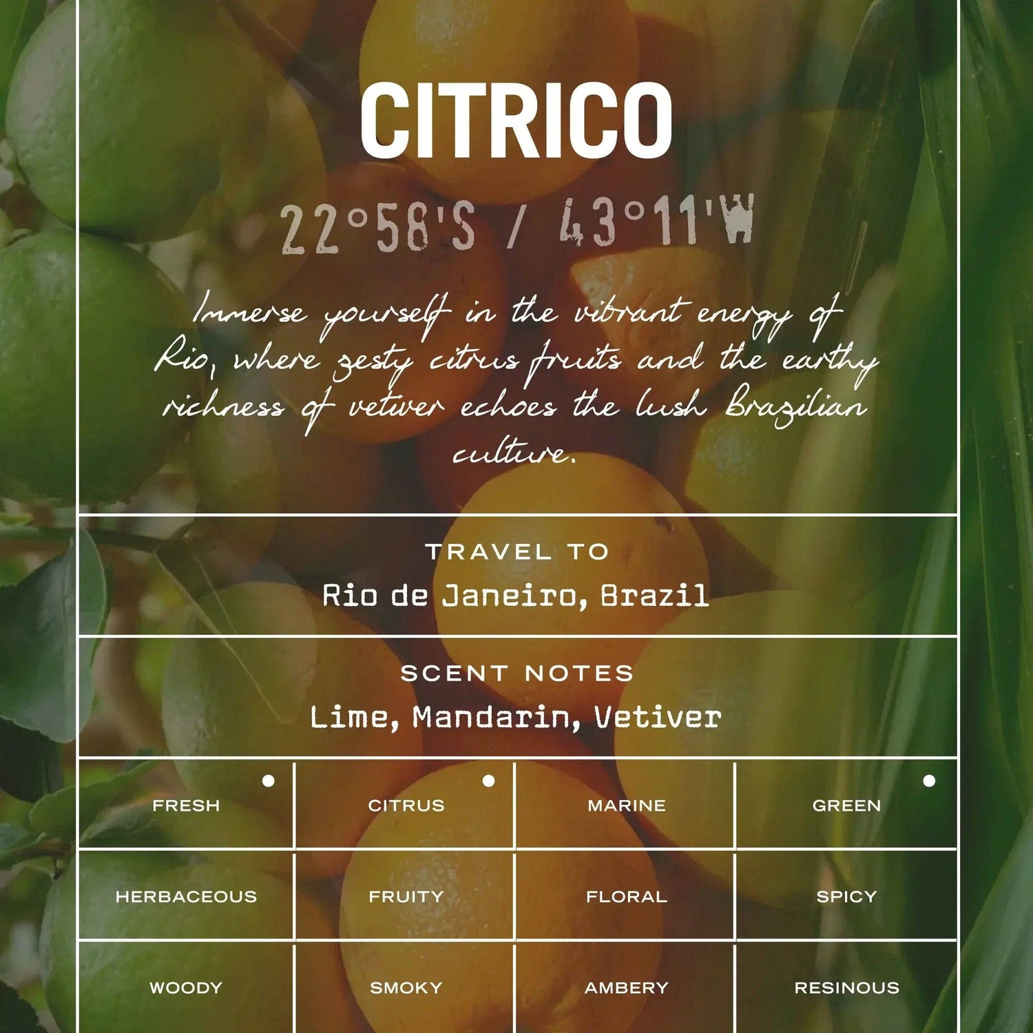 Citrico Scented Candle