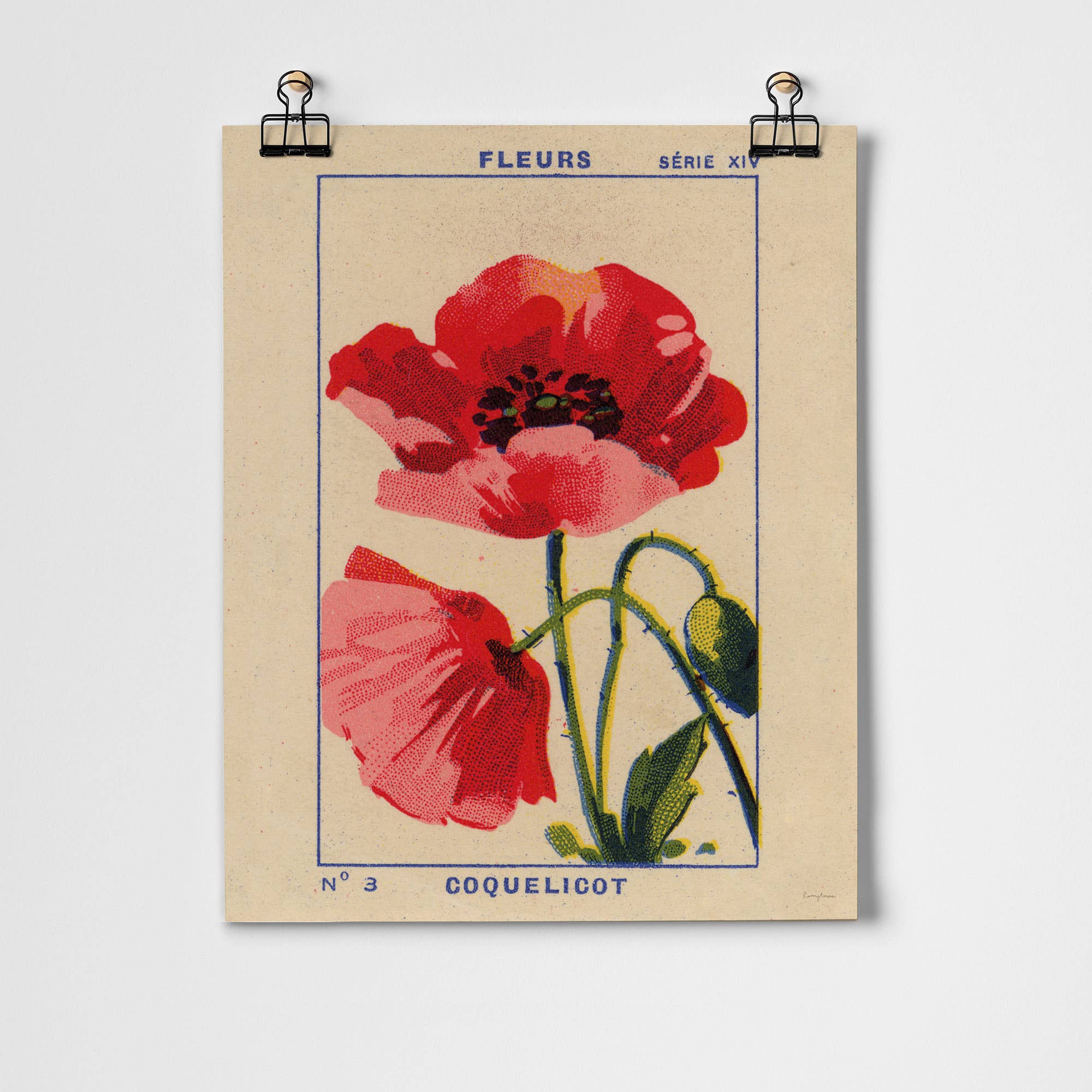 Coquelicot - Poppy Fine Art Print