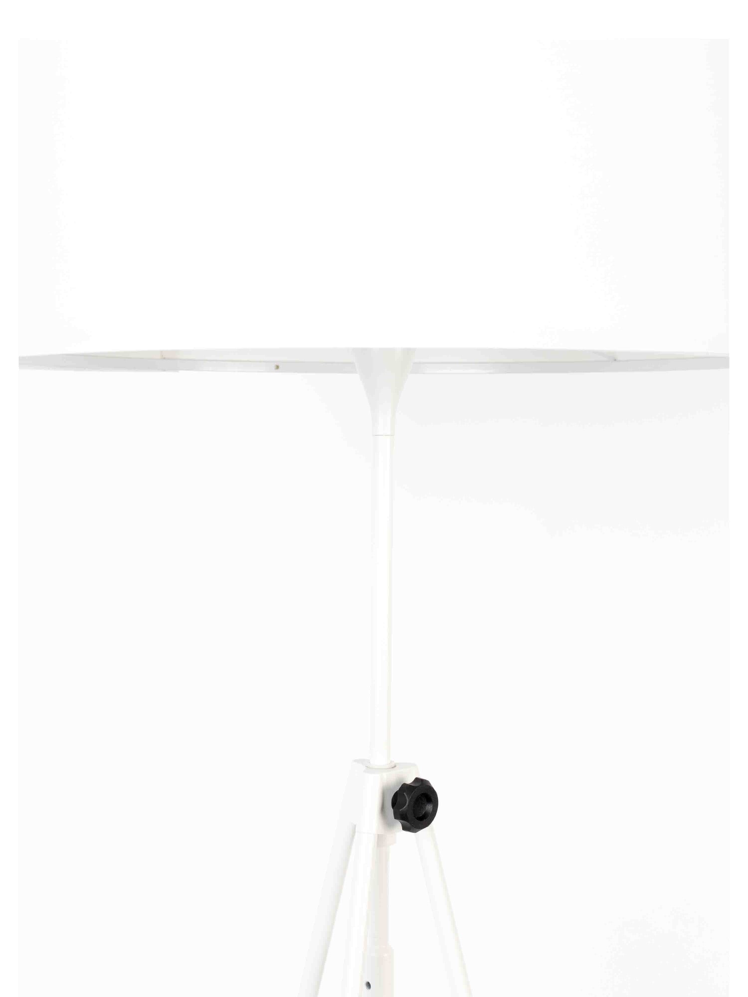 Lesley Adjustable Floor Lamp - 2 Colour Options