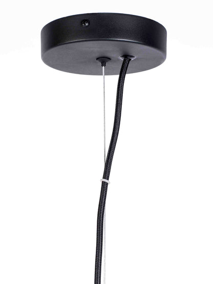 Hawk Black Pendant Light - 3 Styles Available