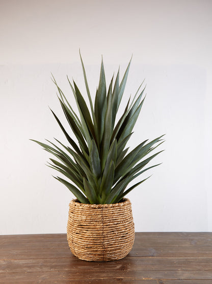 Faux Potted Yucca