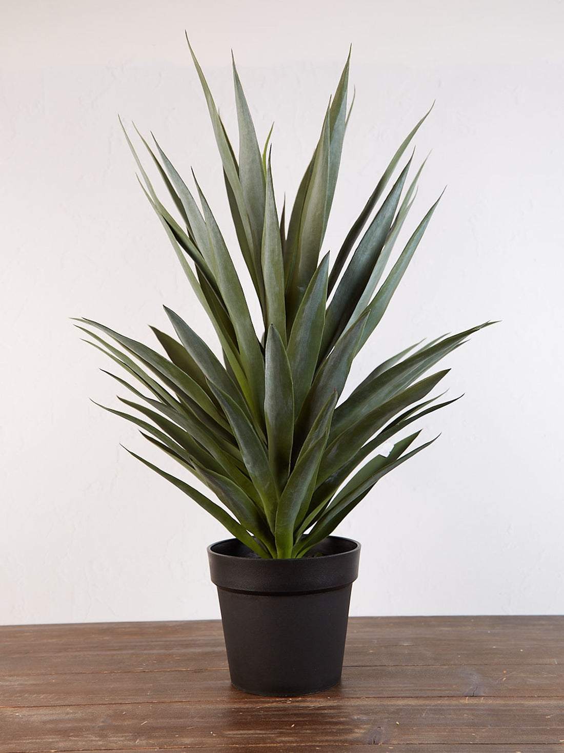 Faux Potted Yucca