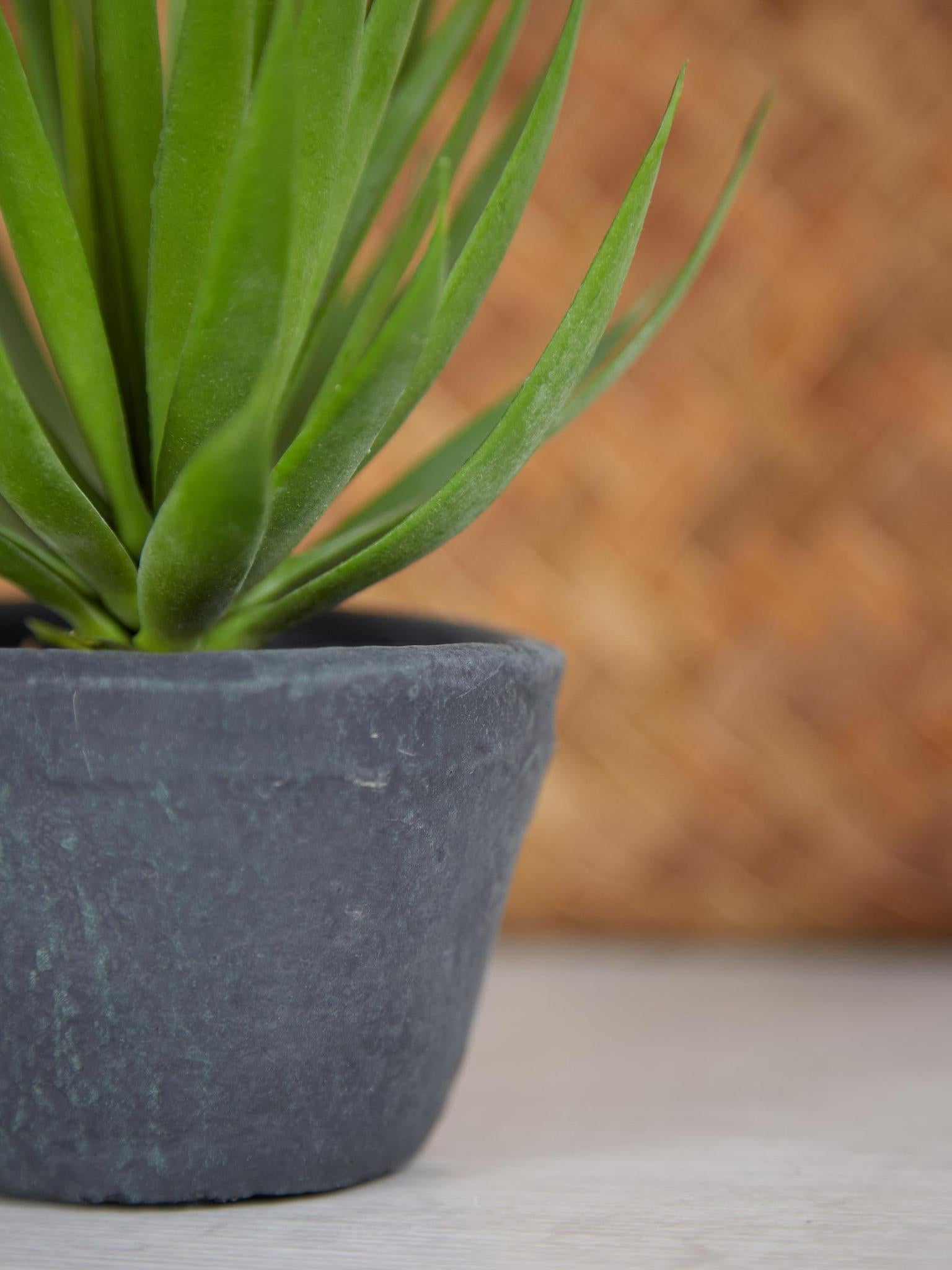 Faux Green Spikey Airplant in Dark Grey Cement Pot