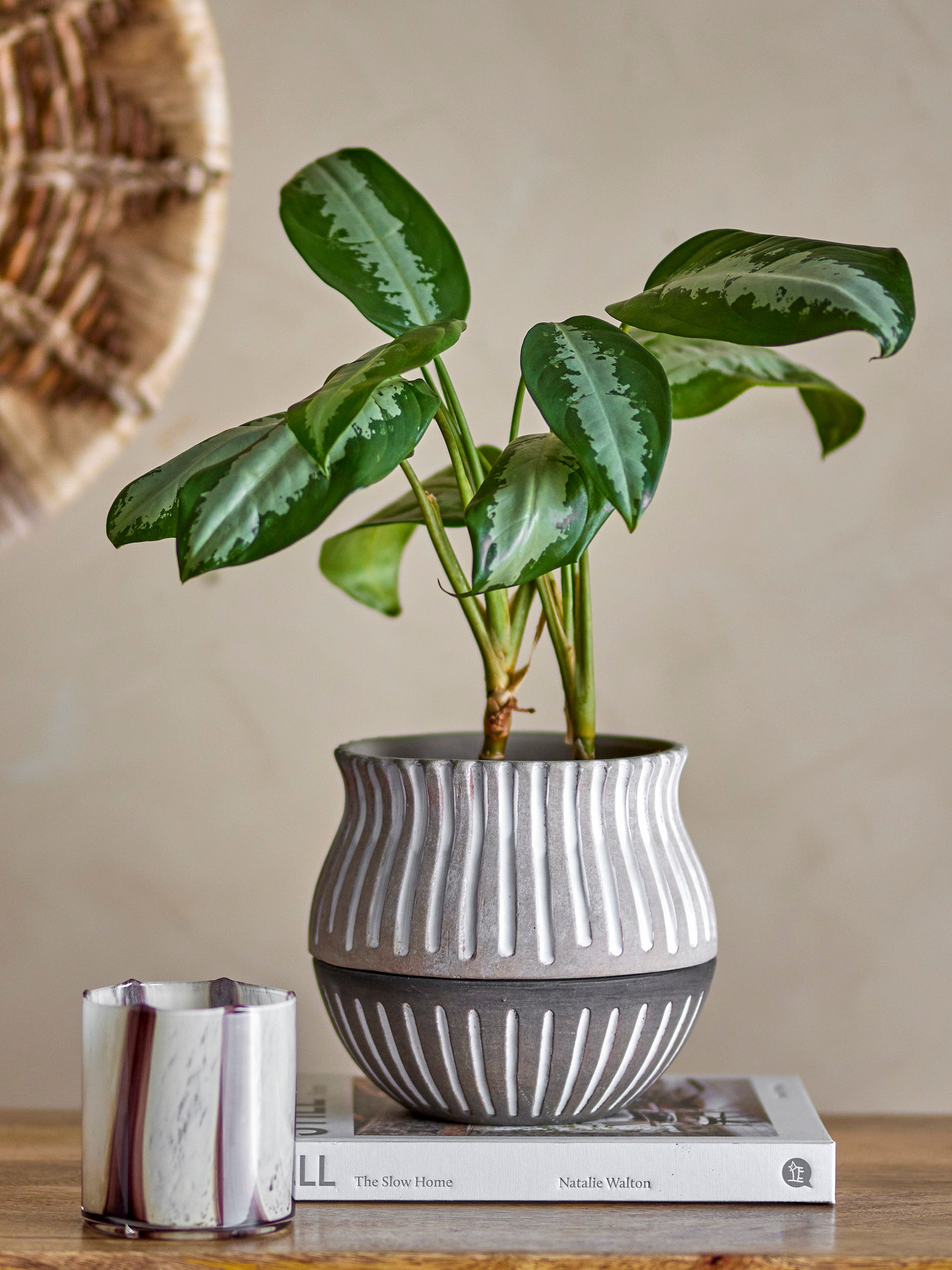 Neliya Grey Stoneware Flowerpot w/Saucer