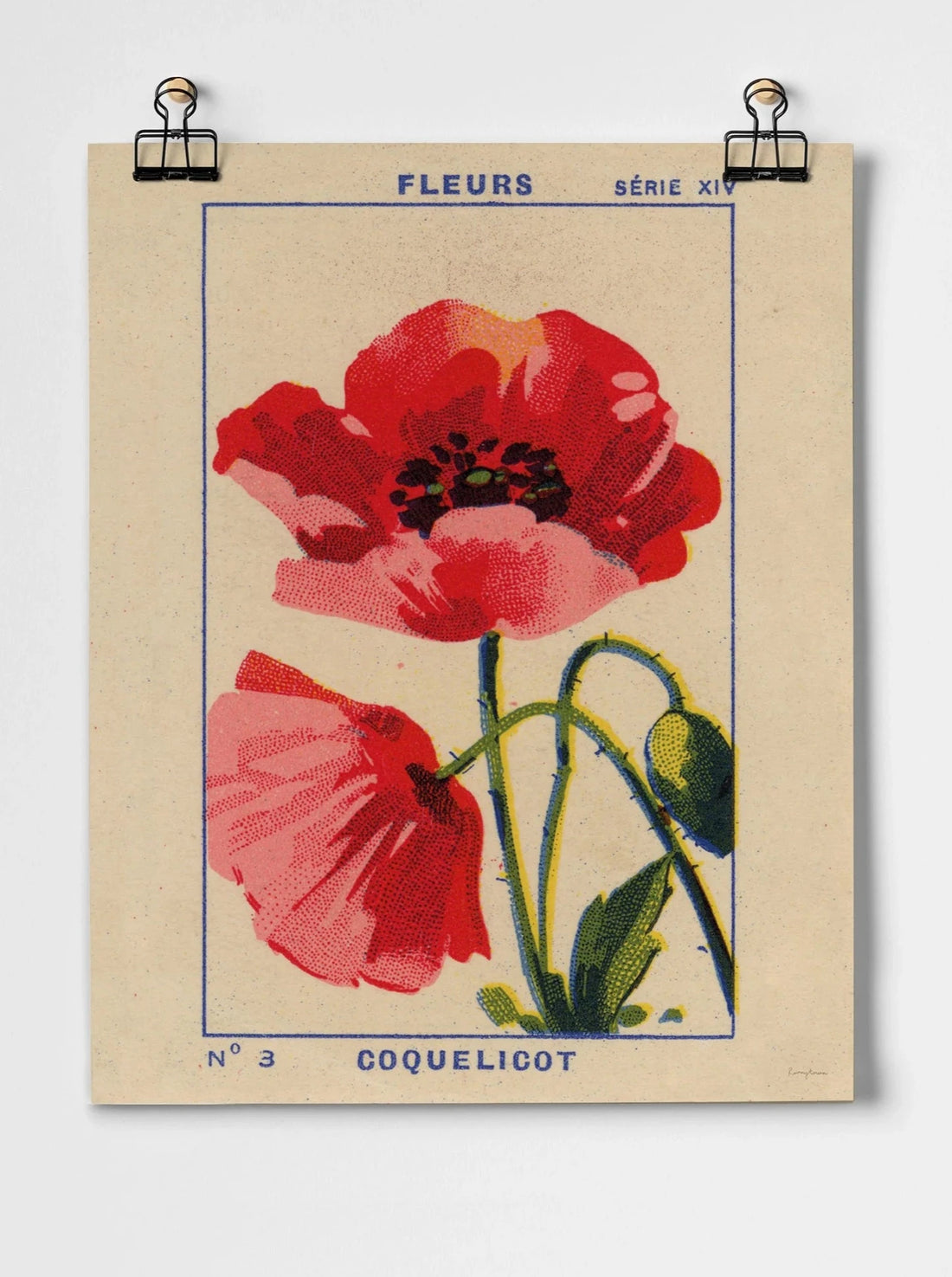 Coquelicot Poppy - A3 Giclee Print