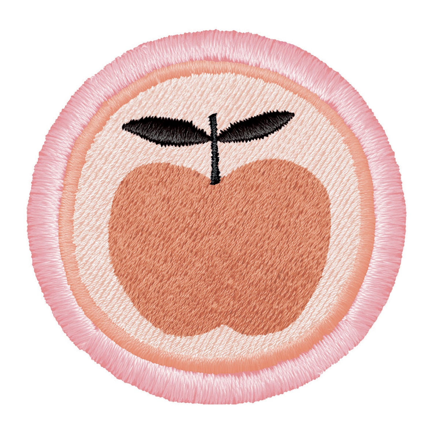 Striped Apple Stationary Case