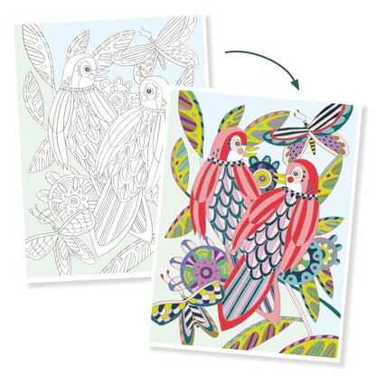 Creative 3 Poster Colouring Gallery - Beautiful Birds