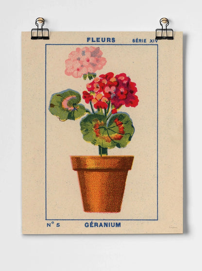 Geranum - A3 Giclee Print