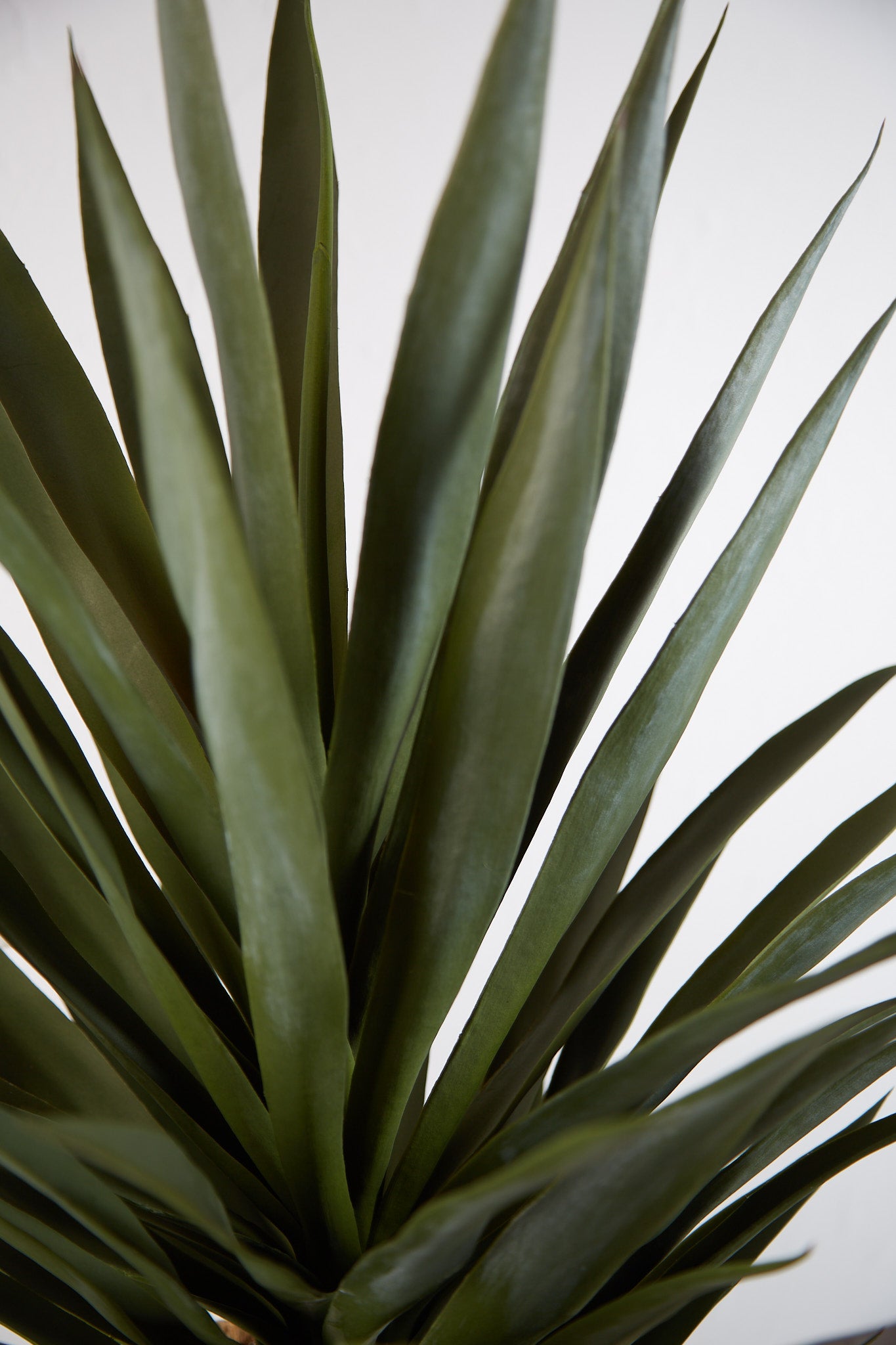 Faux Potted Yucca