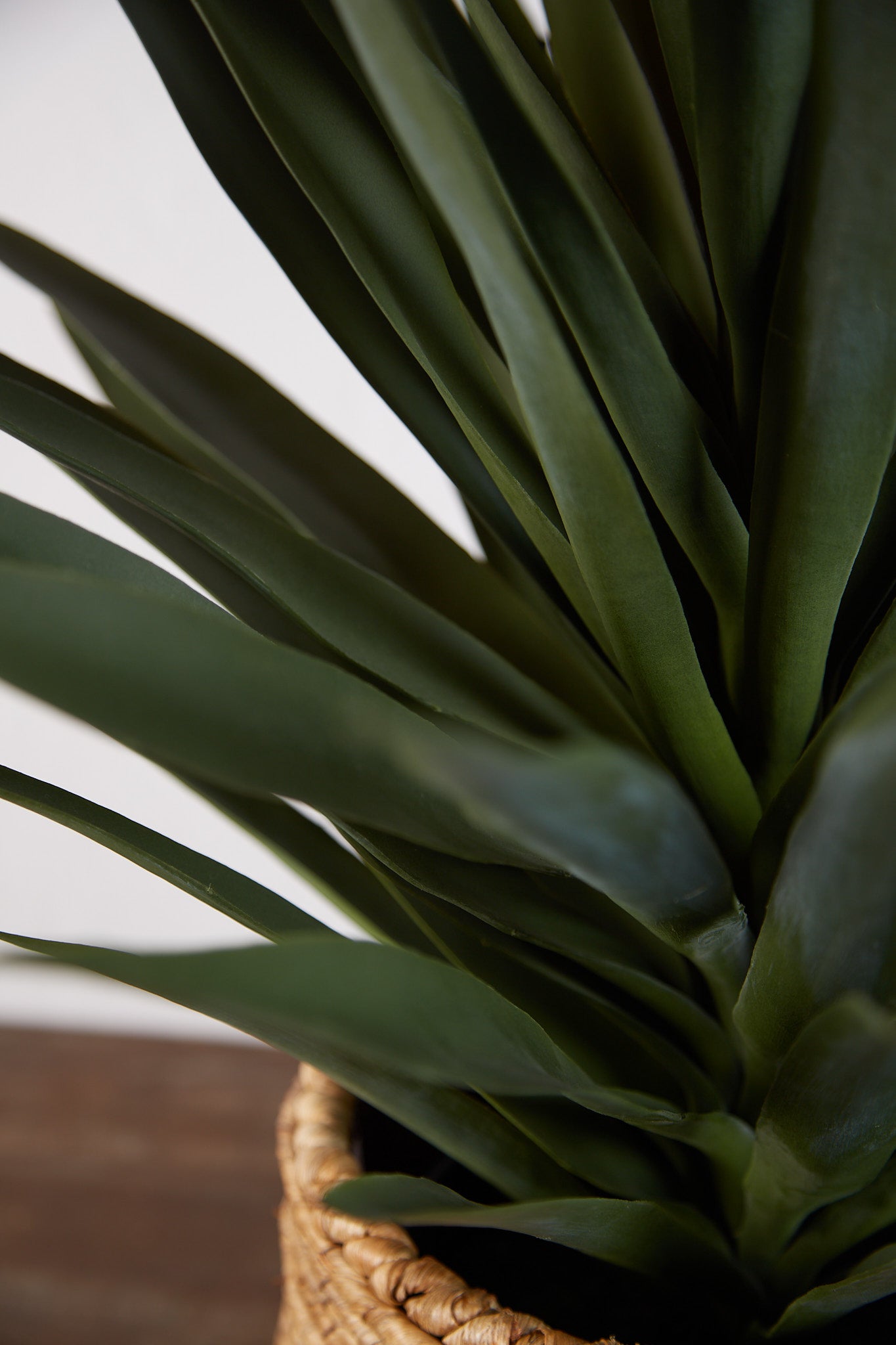 Faux Potted Yucca