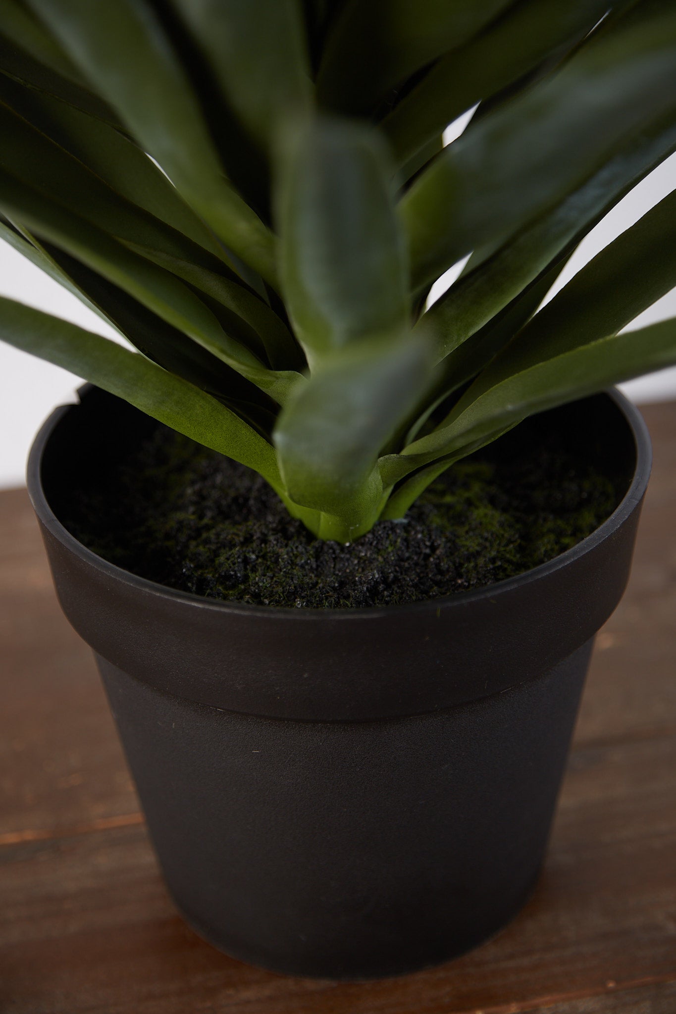 Faux Potted Yucca