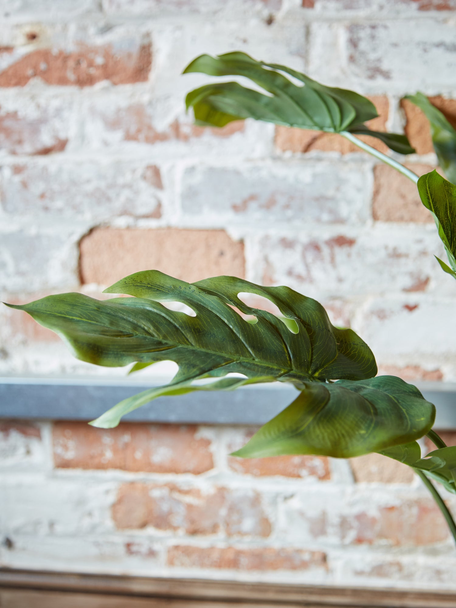 Green Faux Monstera Palm in Black Pot