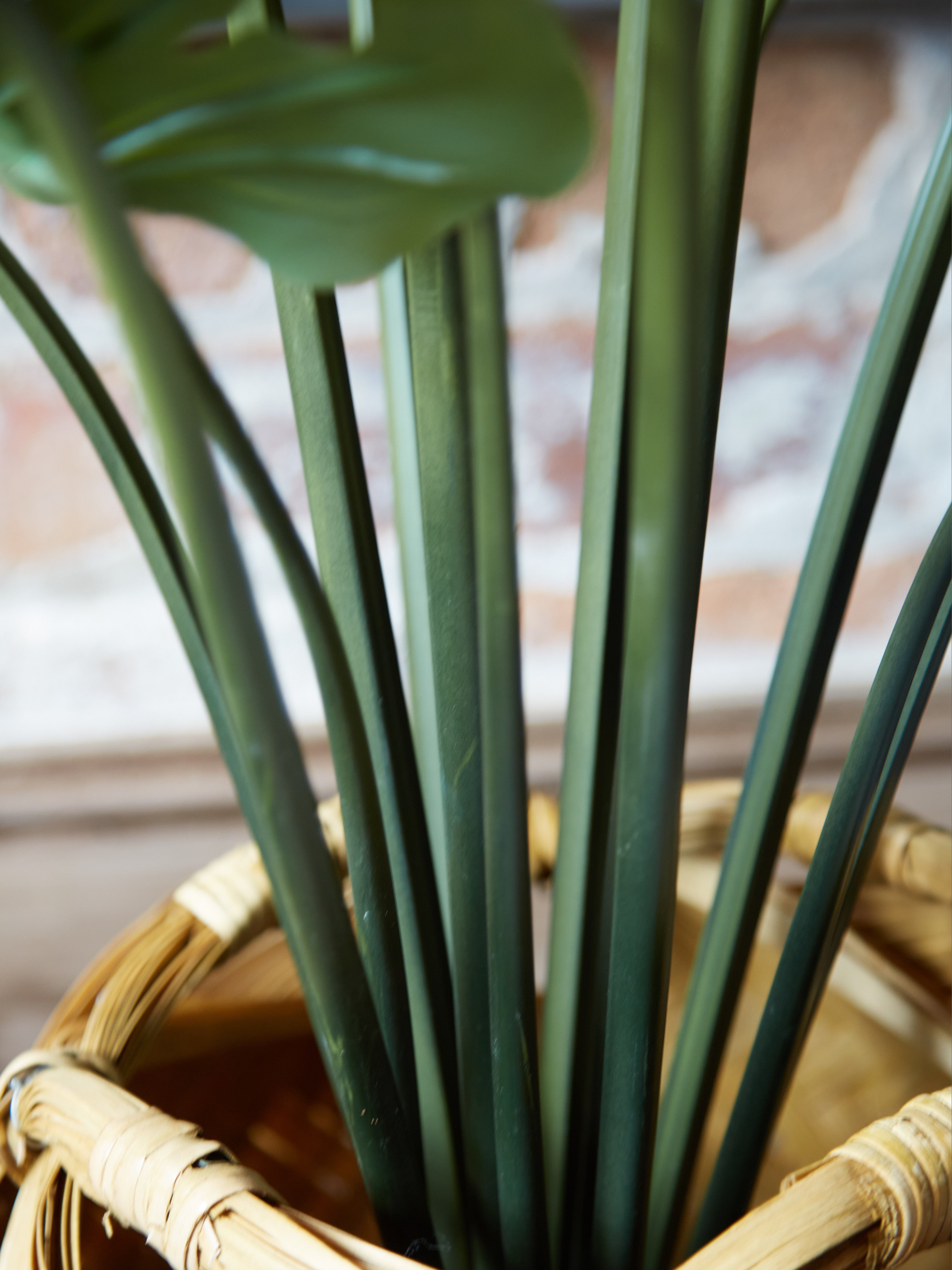 Green Faux Monstera Palm in Black Pot