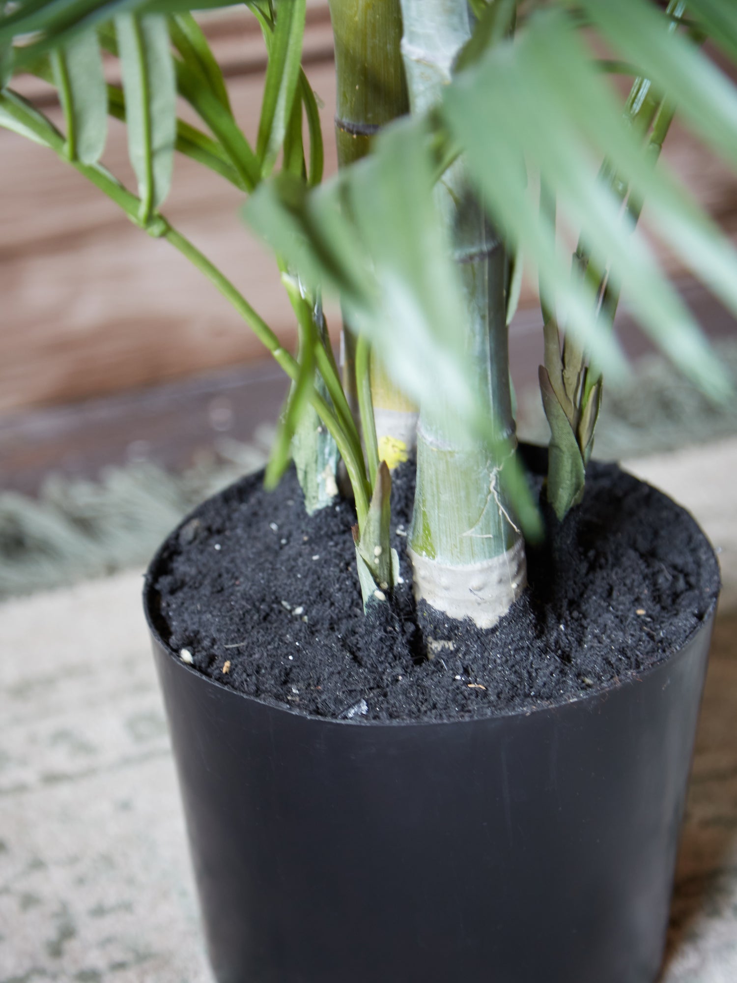 Small Faux Areca Palm Tree in Black Pot