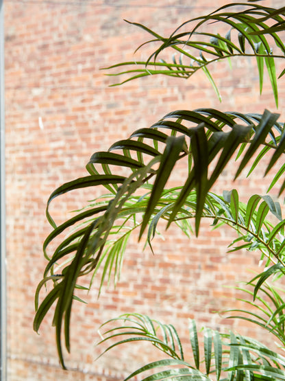 Large Faux Green Palm Tree in Black Pot