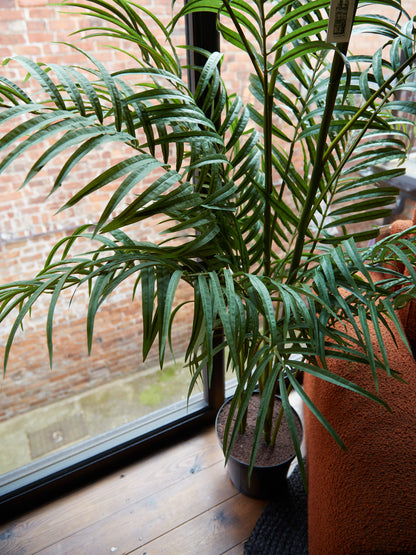 Large Faux Green Palm Tree in Black Pot