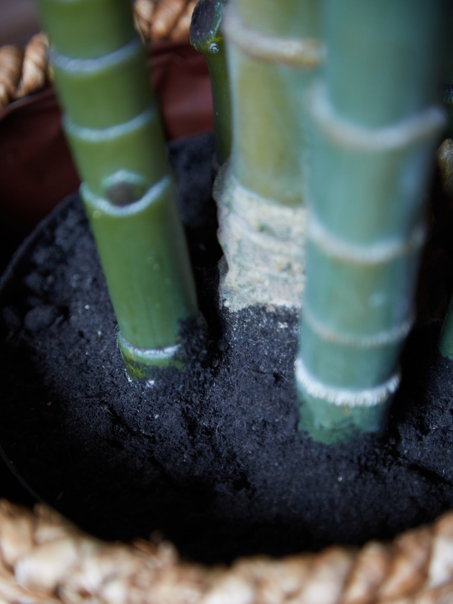 Large Faux Green Bamboo Palm Tree in Black Pot