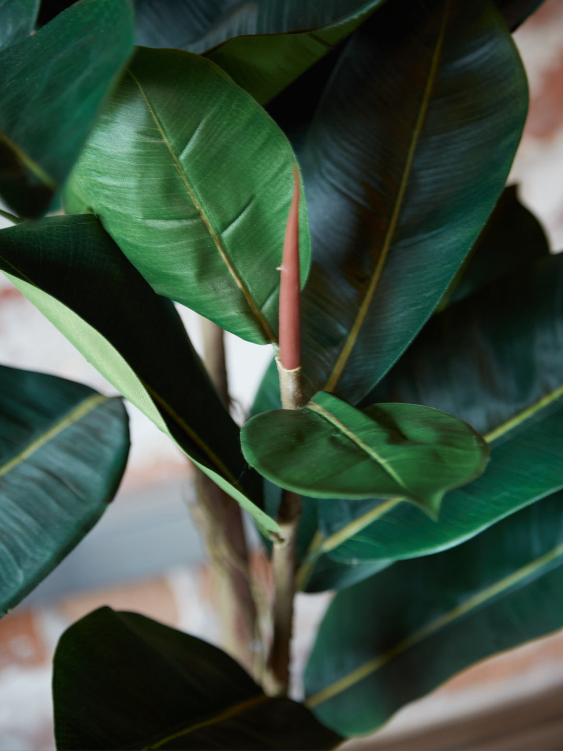 Green Faux Rubber Tree in Black Pot