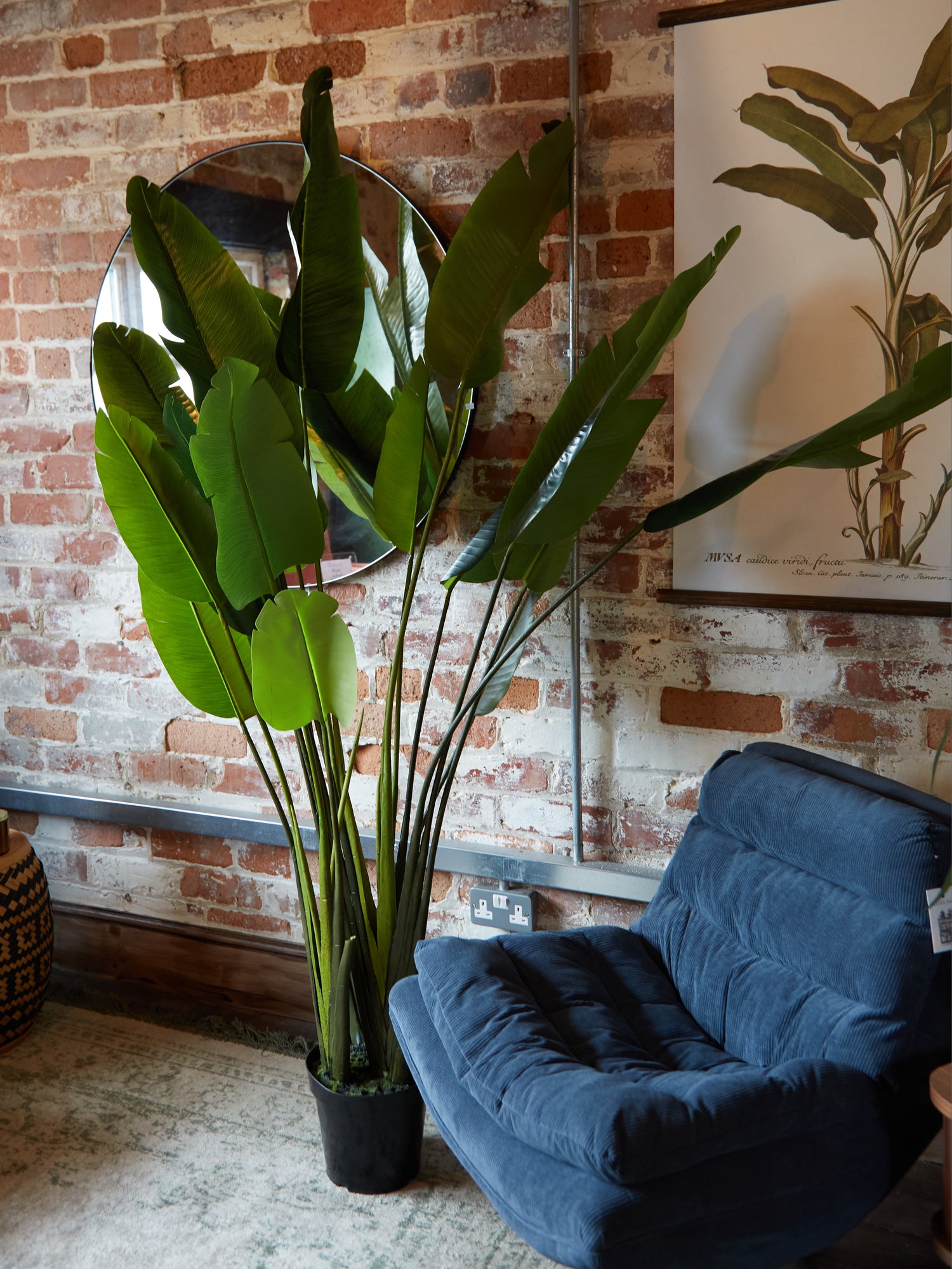 Large Faux Strelitzia Tree in Black Pot