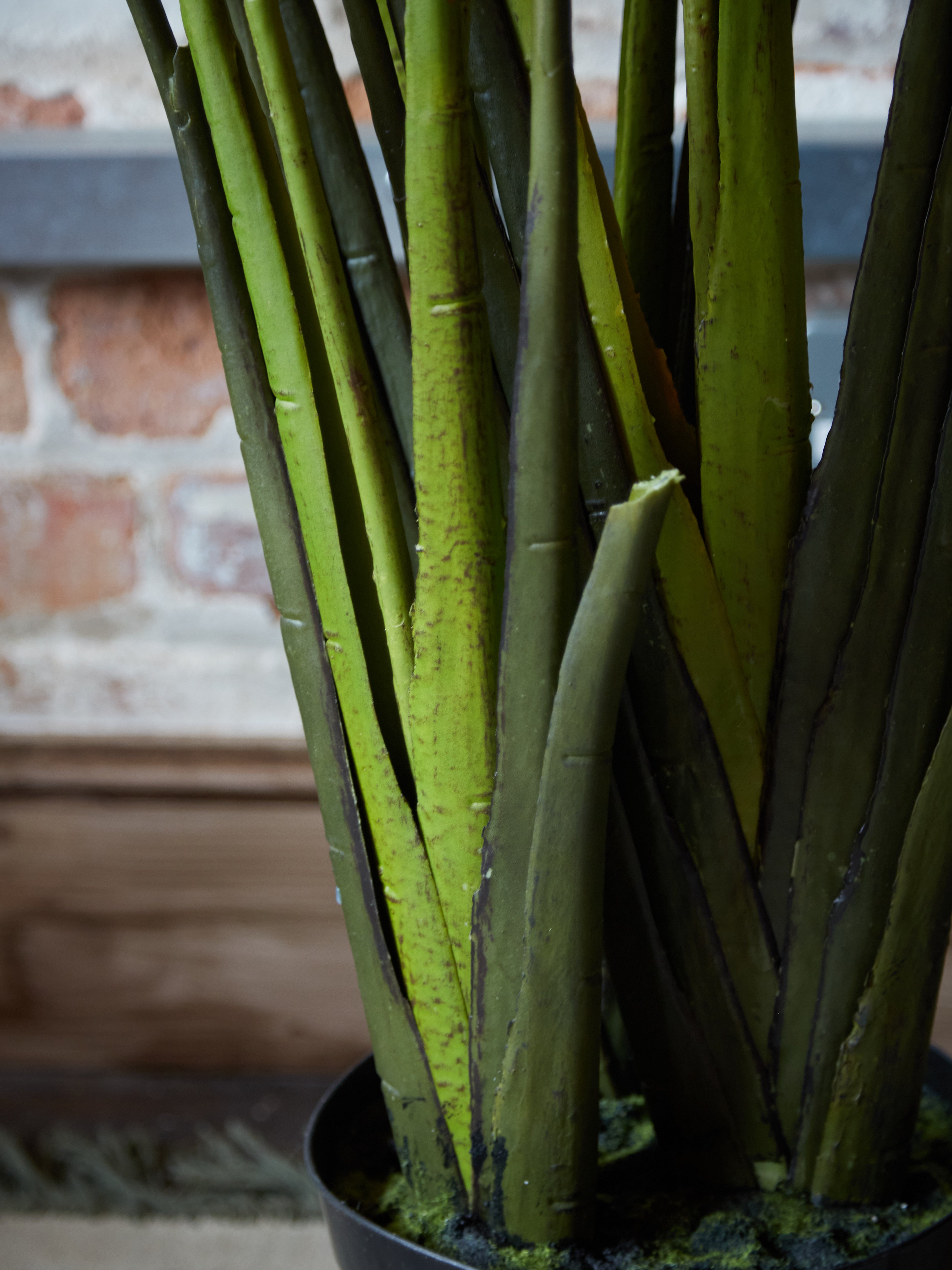 Large Faux Strelitzia Tree in Black Pot