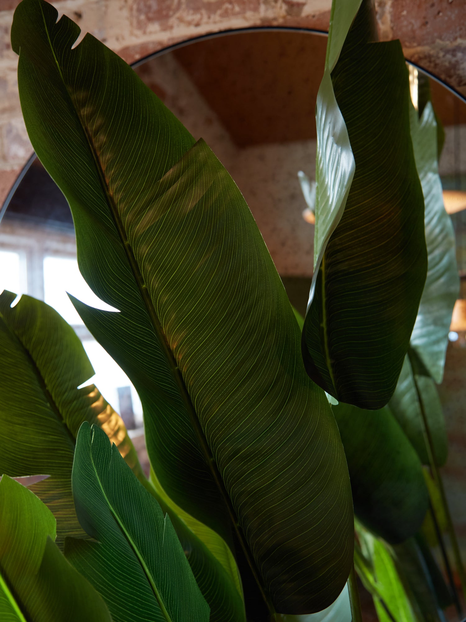 Large Faux Strelitzia Tree in Black Pot