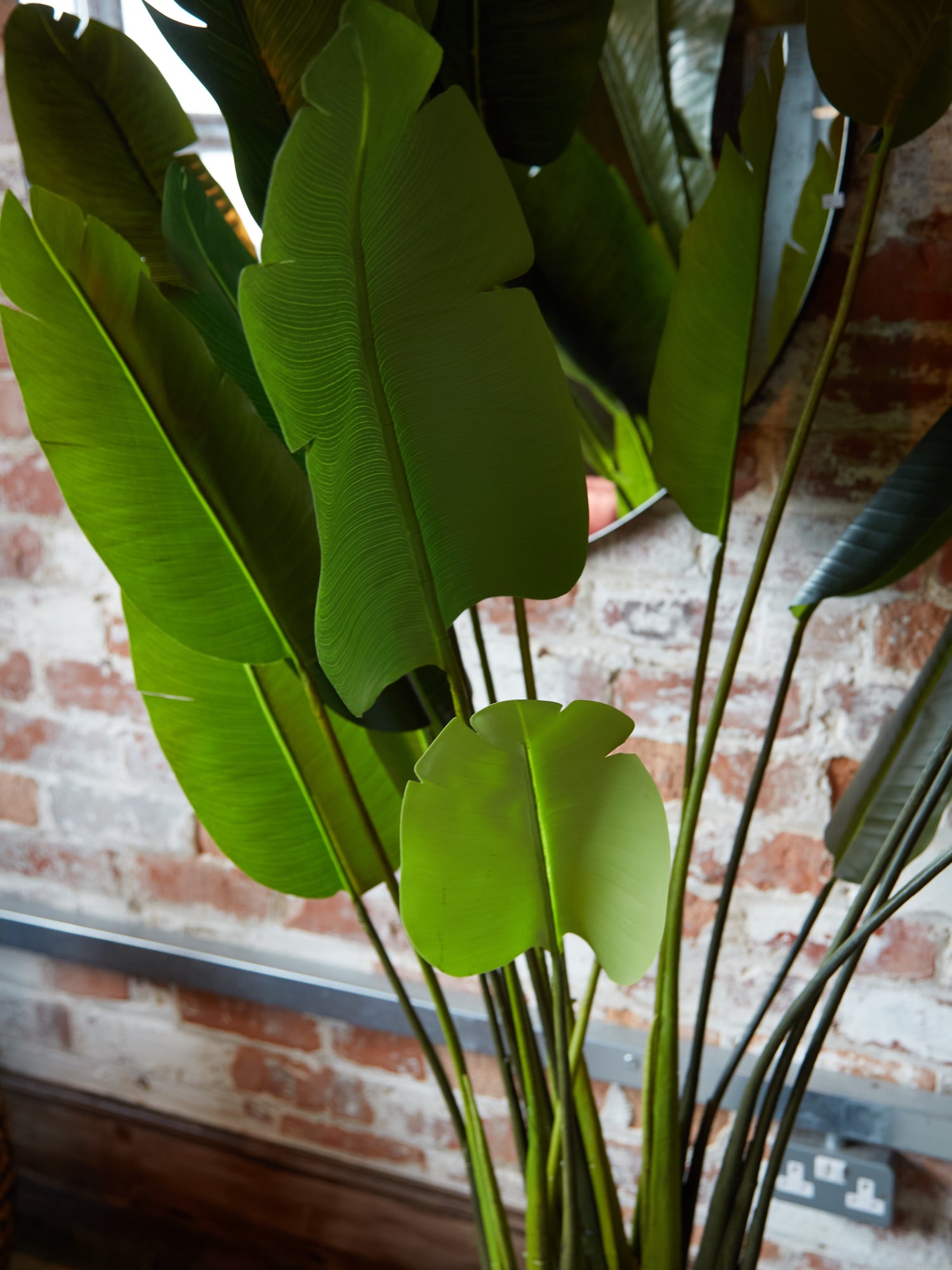 Large Faux Strelitzia Tree in Black Pot