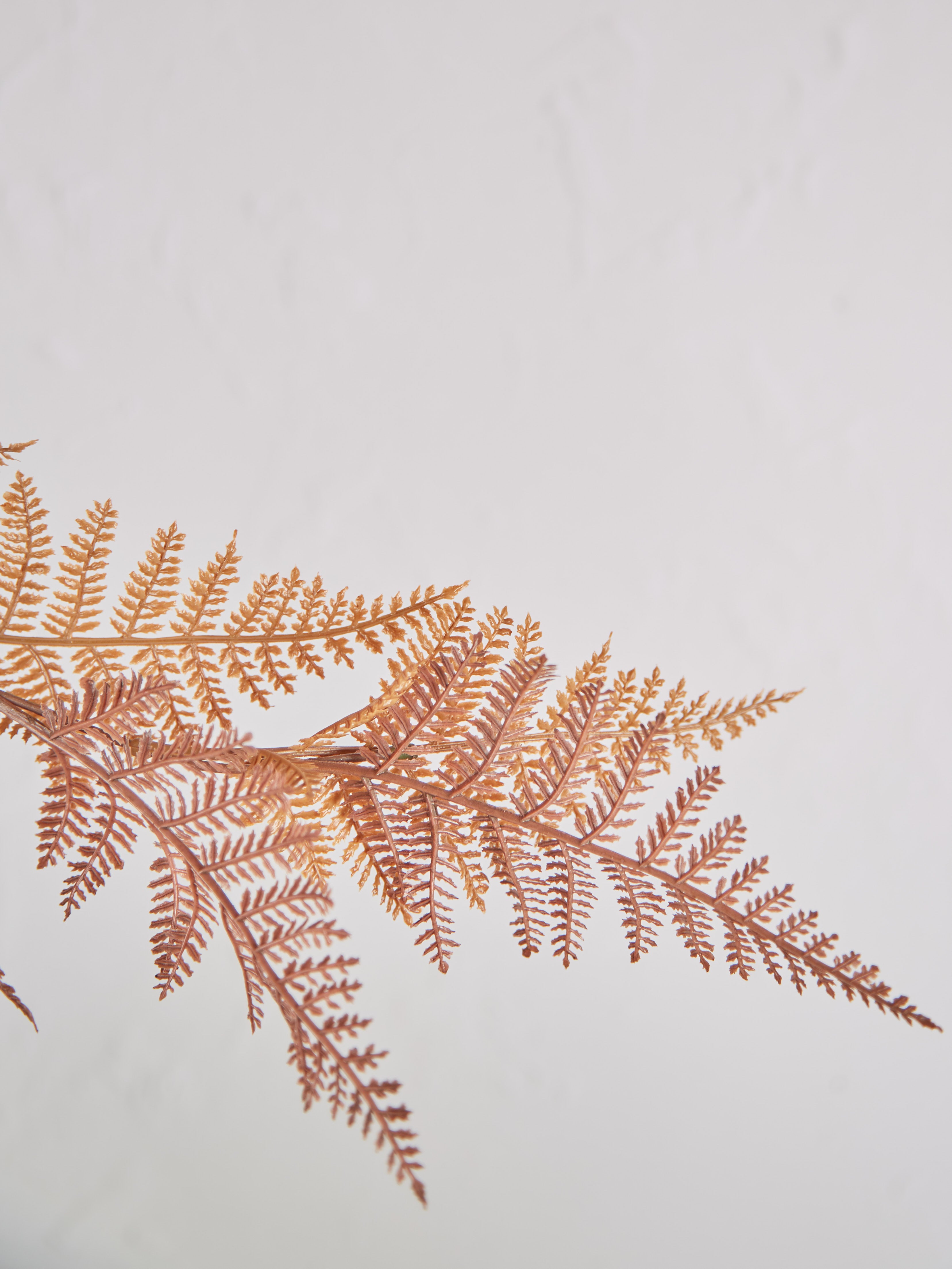 Faux Brown Autumn Fern Stem