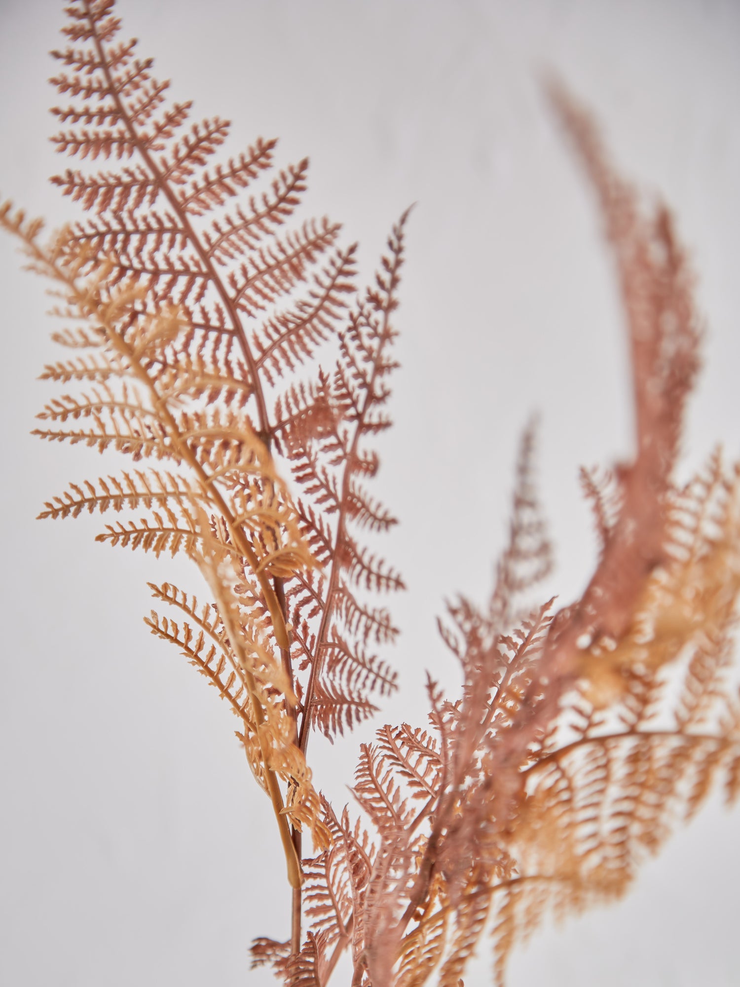 Faux Brown Autumn Fern Stem