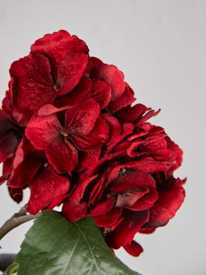 Faux Red Velvet Hydrangea