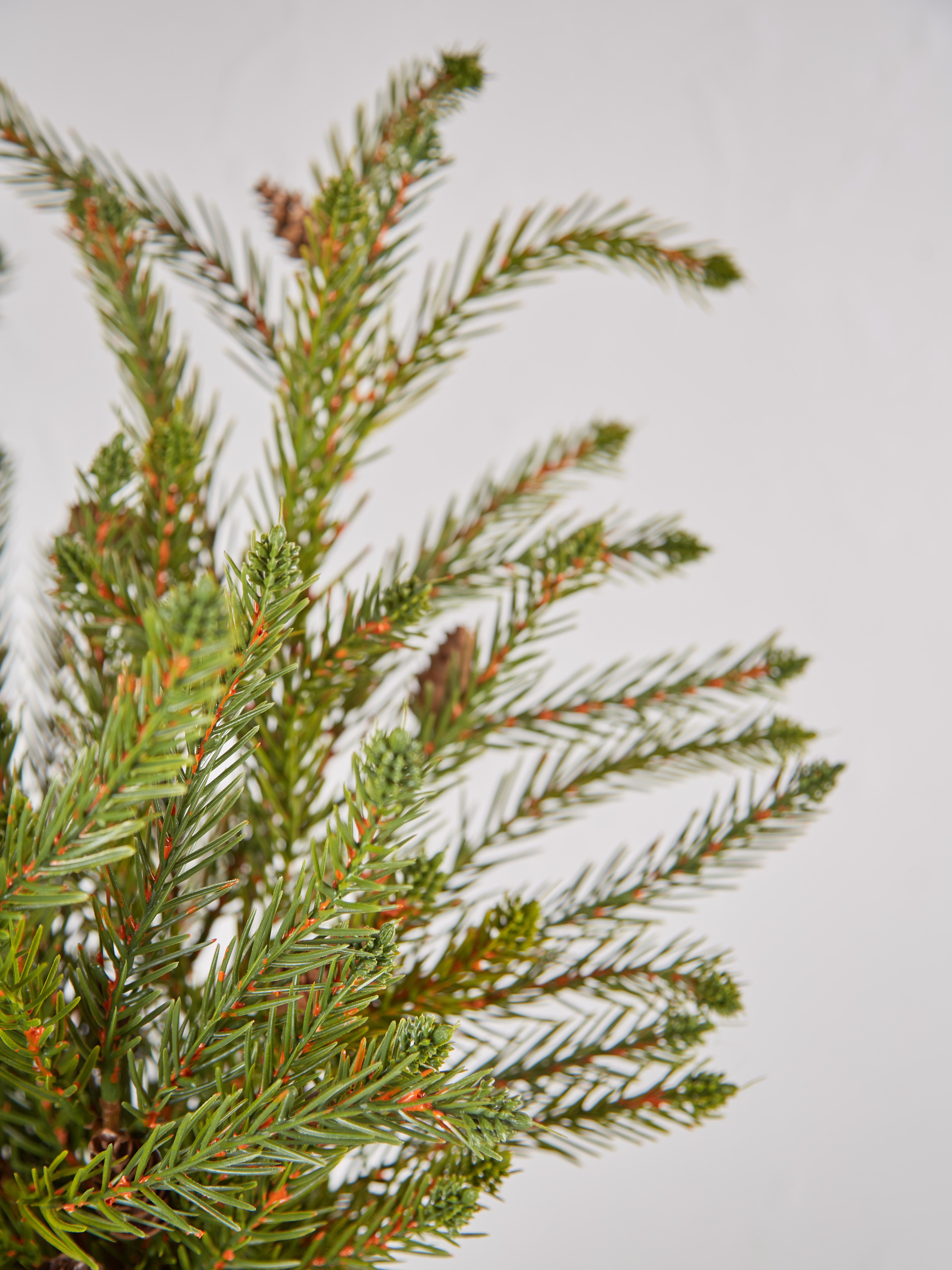 Faux Cedar Stem With Pinecones