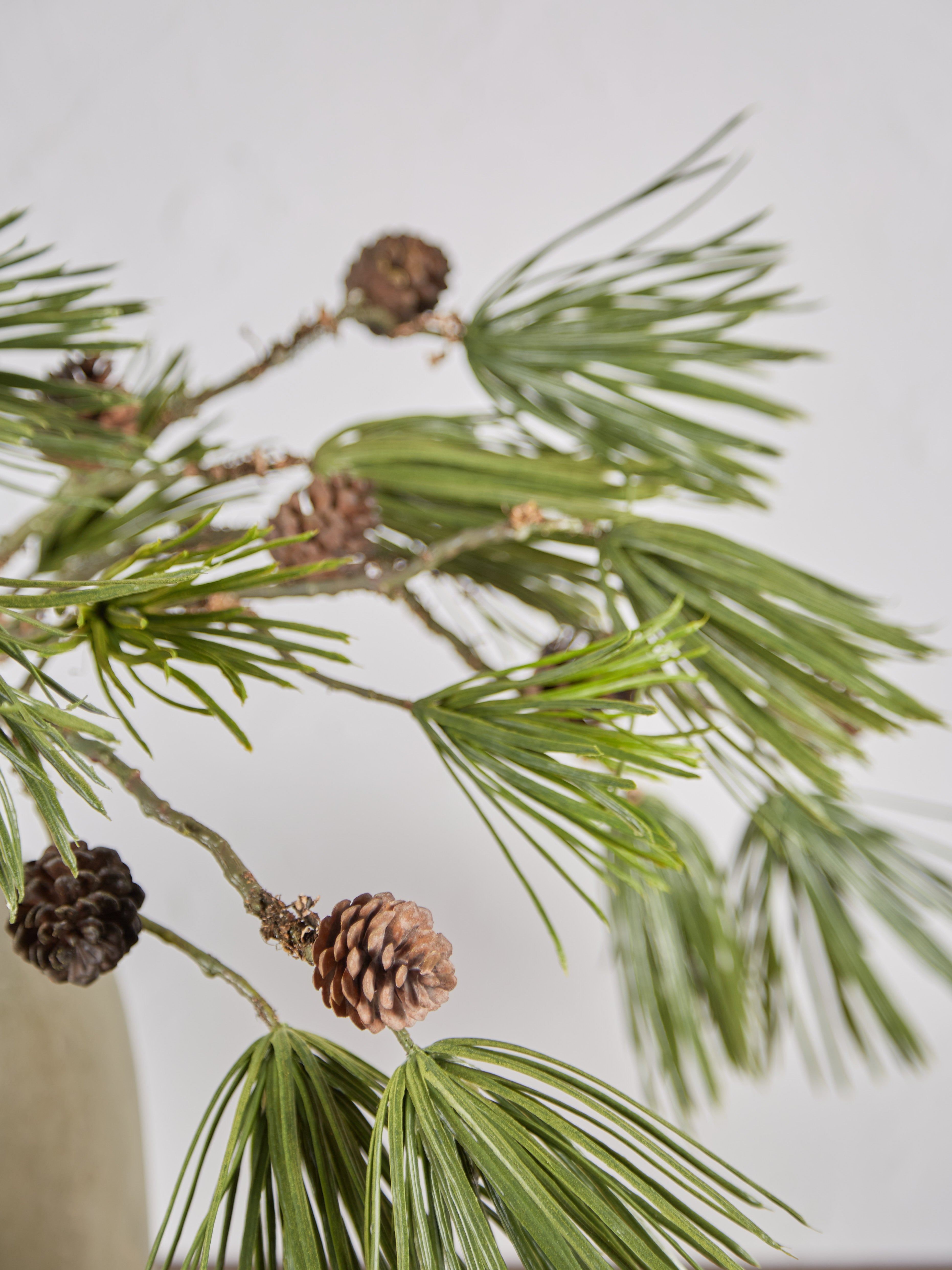 Faux Scots Pine With Pinecones