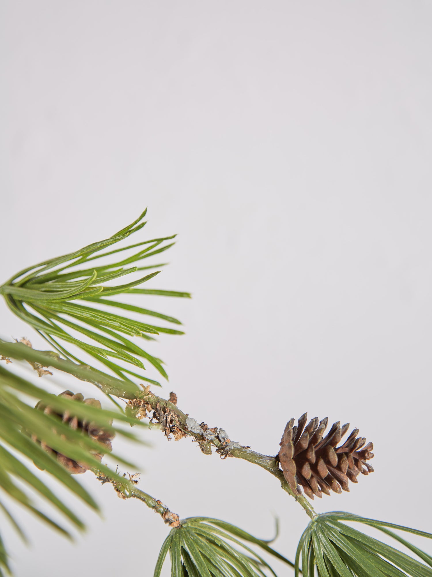 Faux Scots Pine With Pinecones