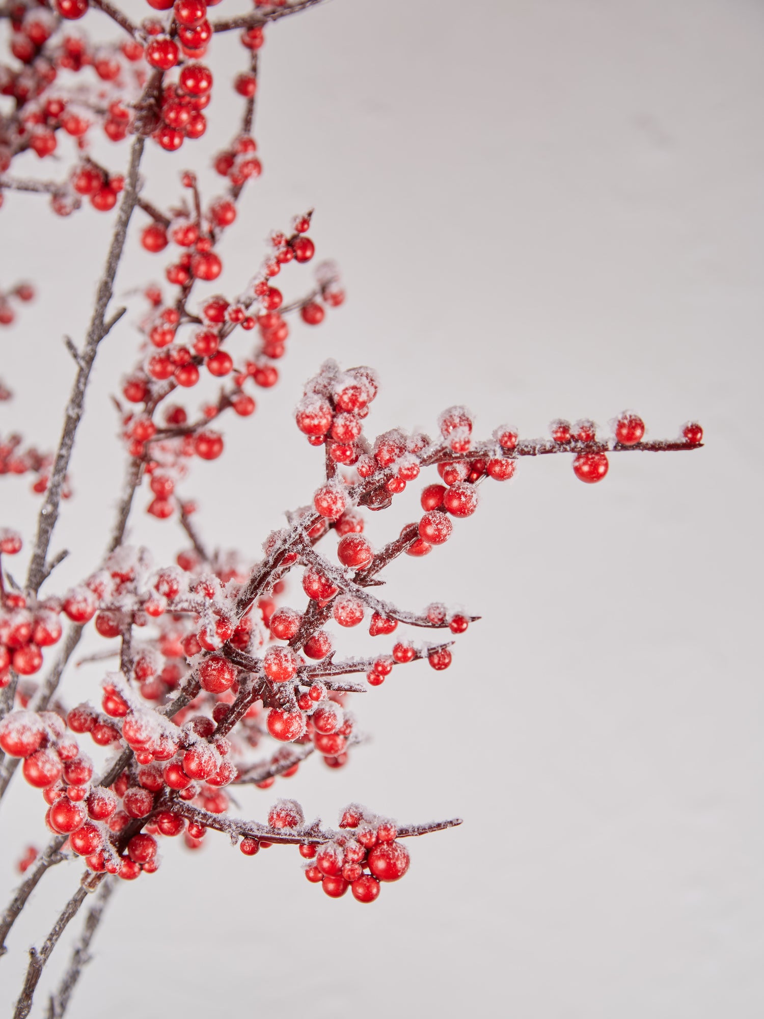 Faux Red Berry With Snow