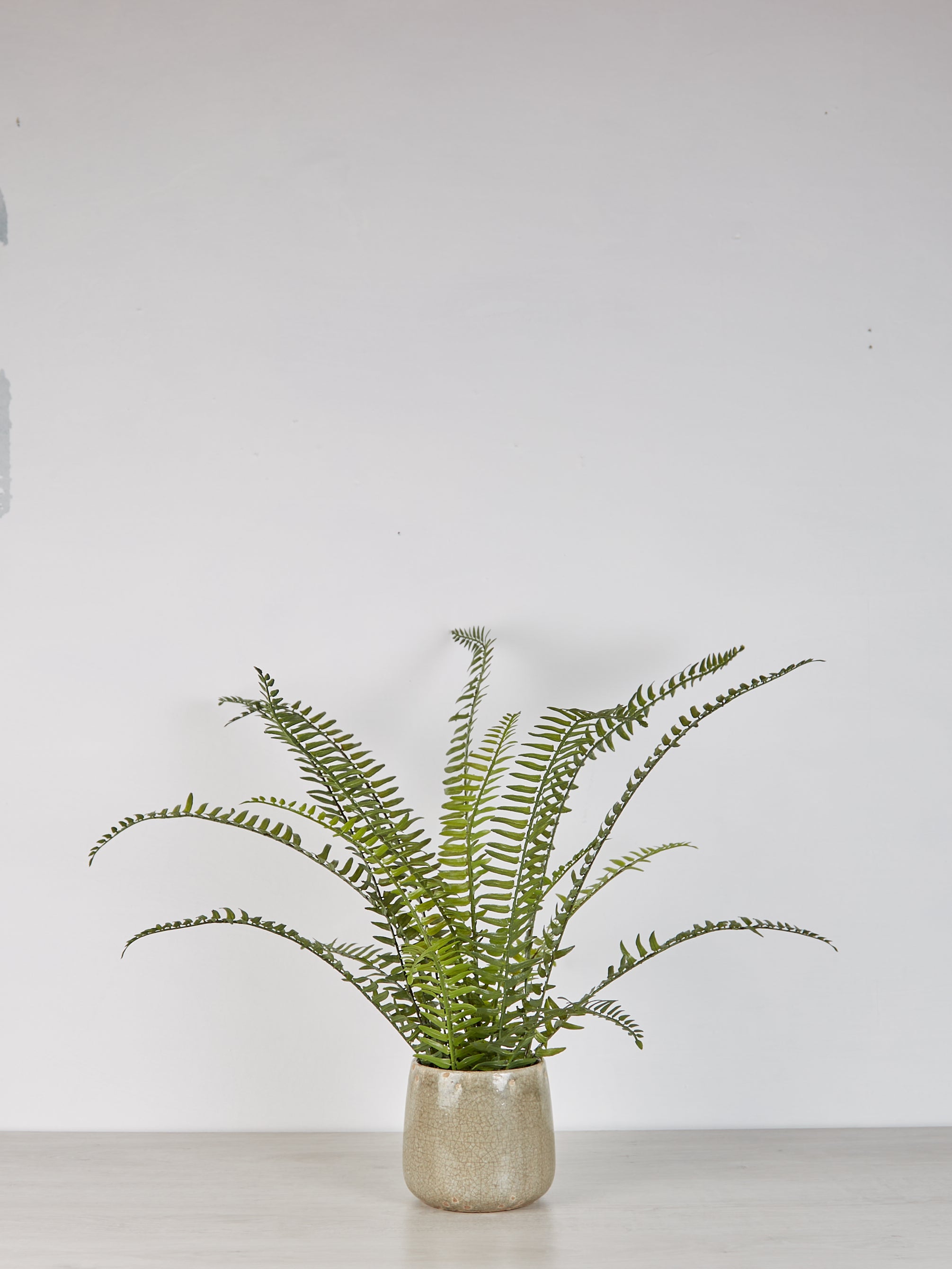 Faux Fern in Pot