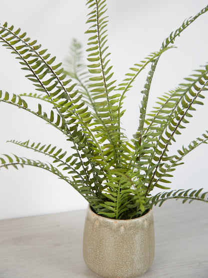 Faux Fern in Pot