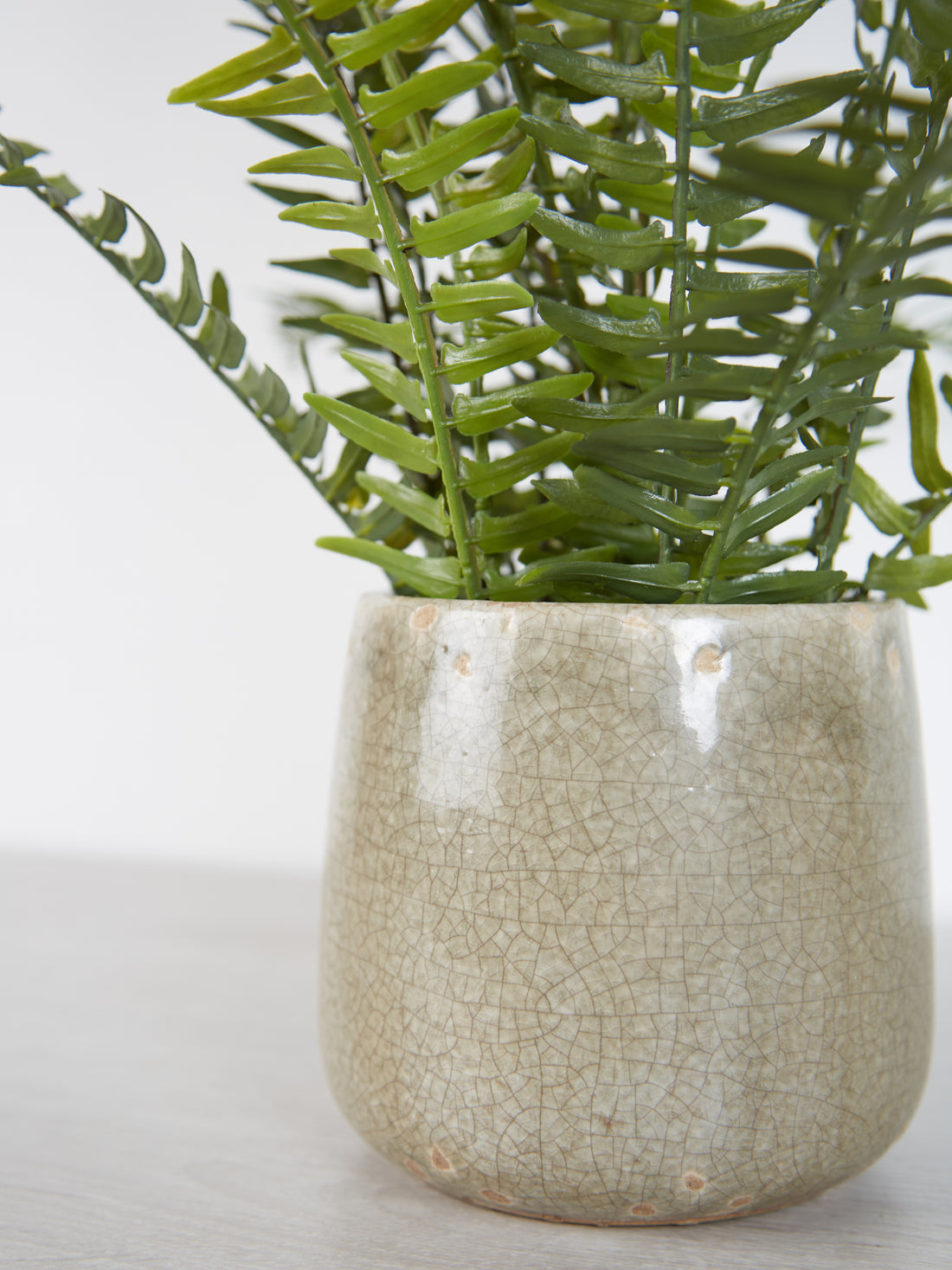 Faux Fern in Pot