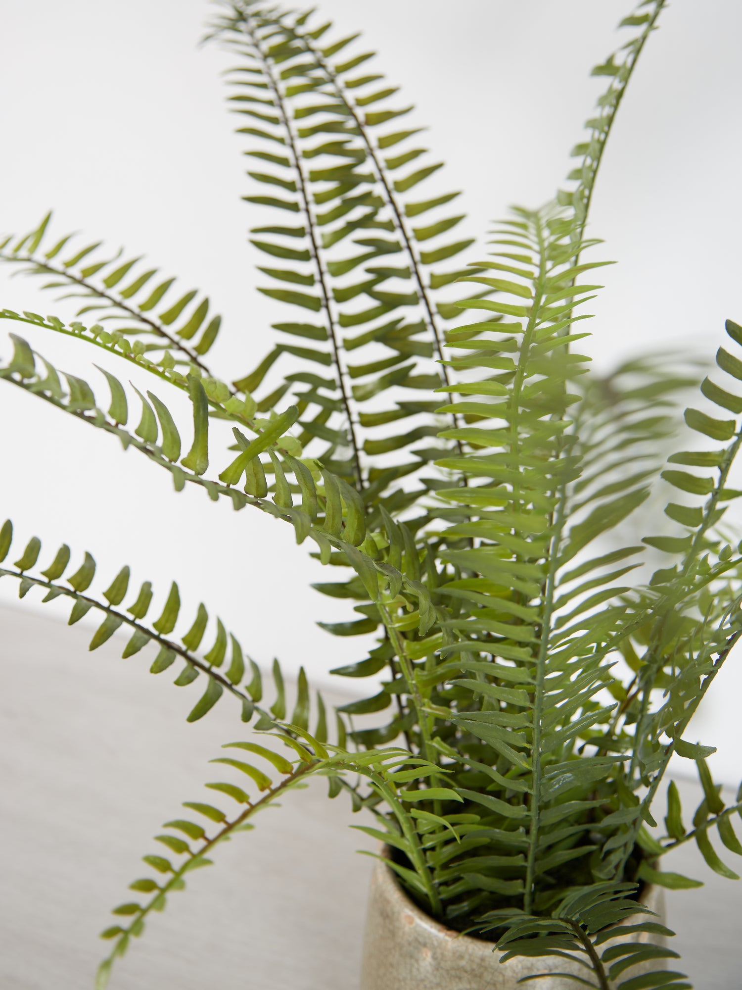 Faux Fern in Pot