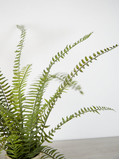 Faux Fern in Pot