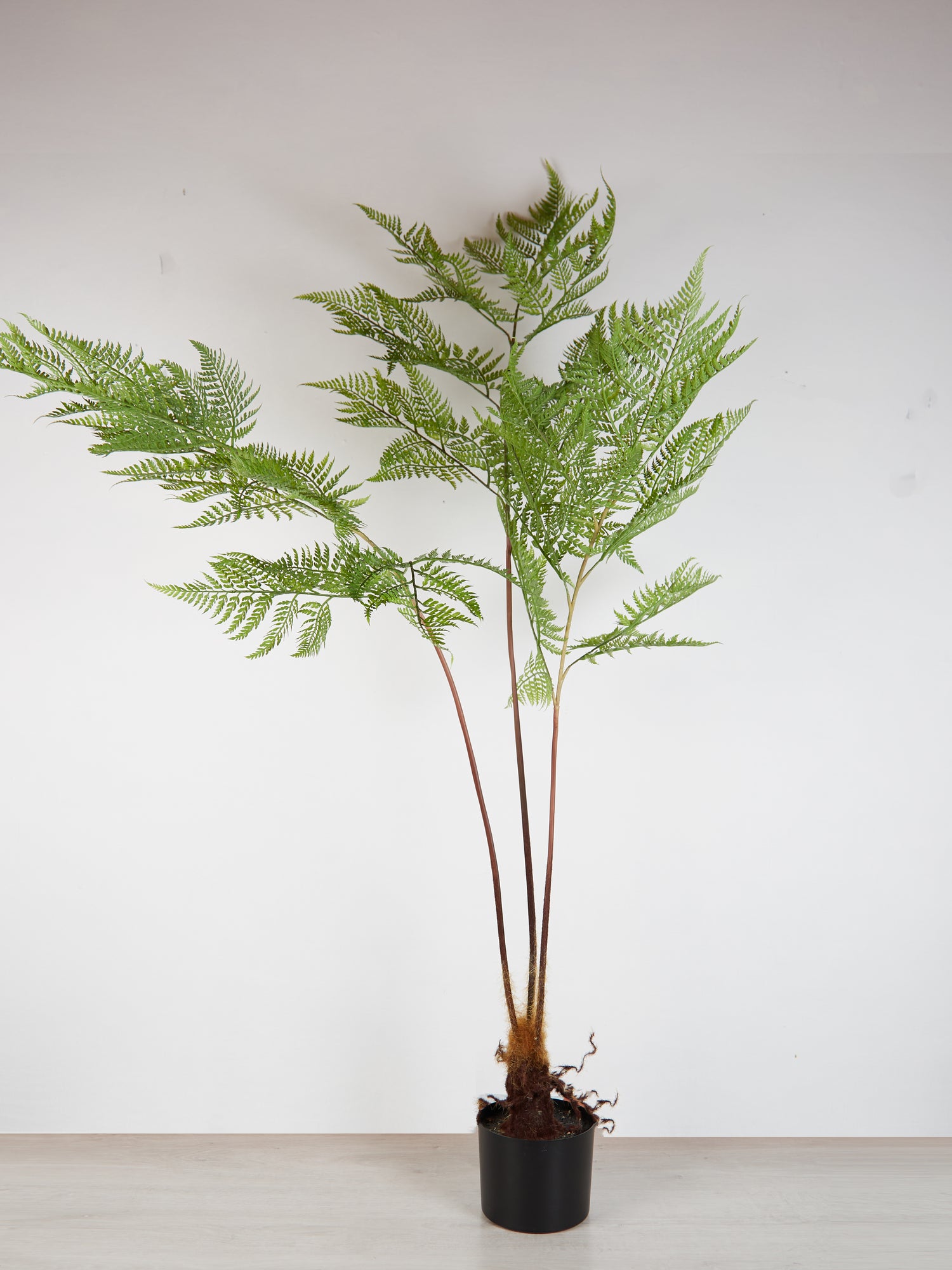 Faux Sword Fern in Pot