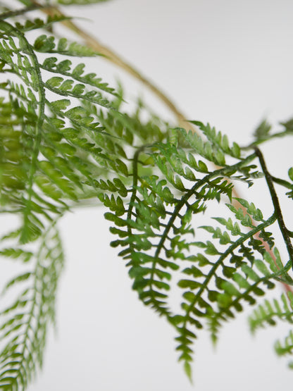 Faux Sword Fern in Pot