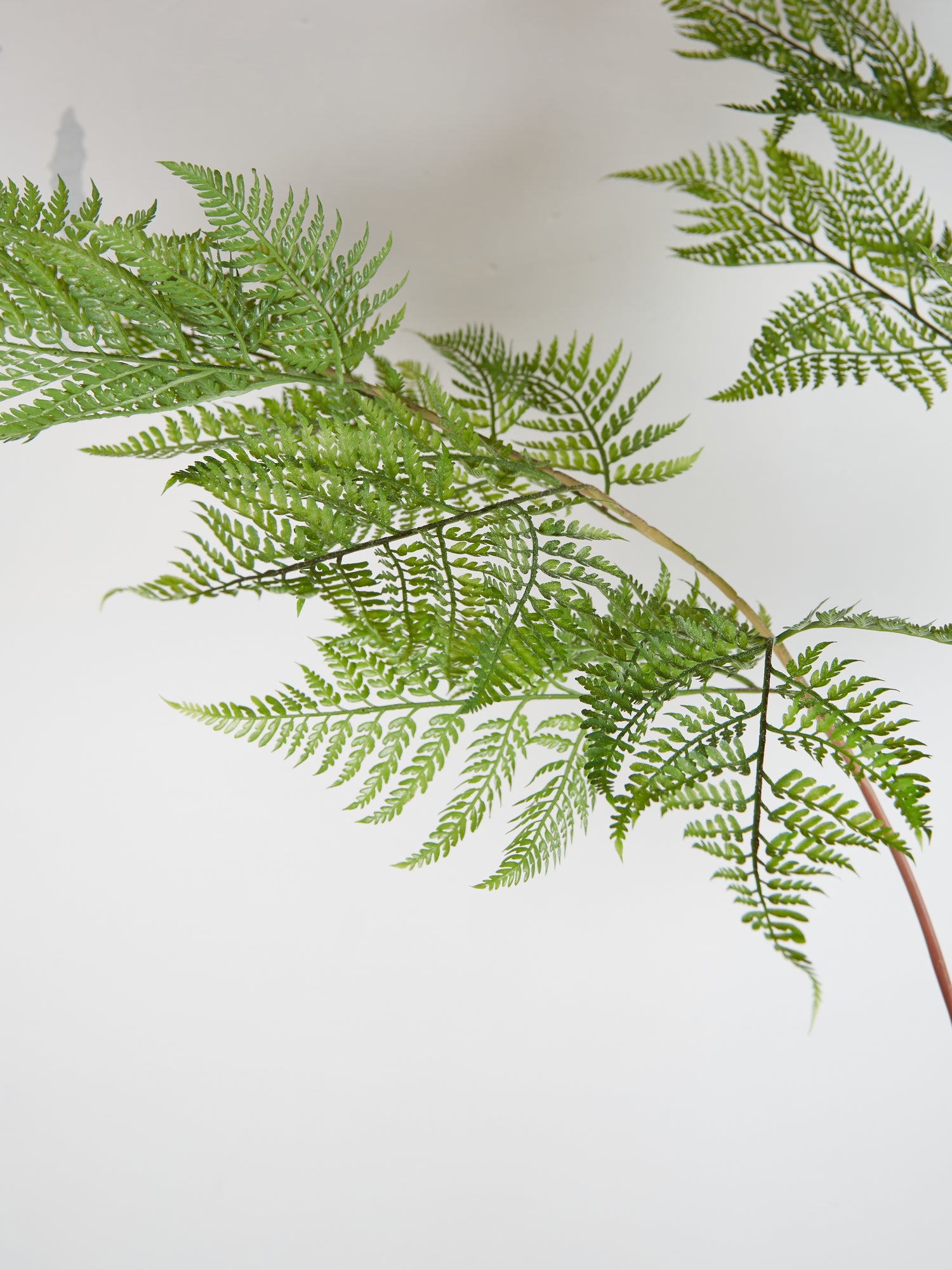 Faux Sword Fern in Pot