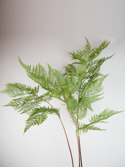 Faux Sword Fern in Pot