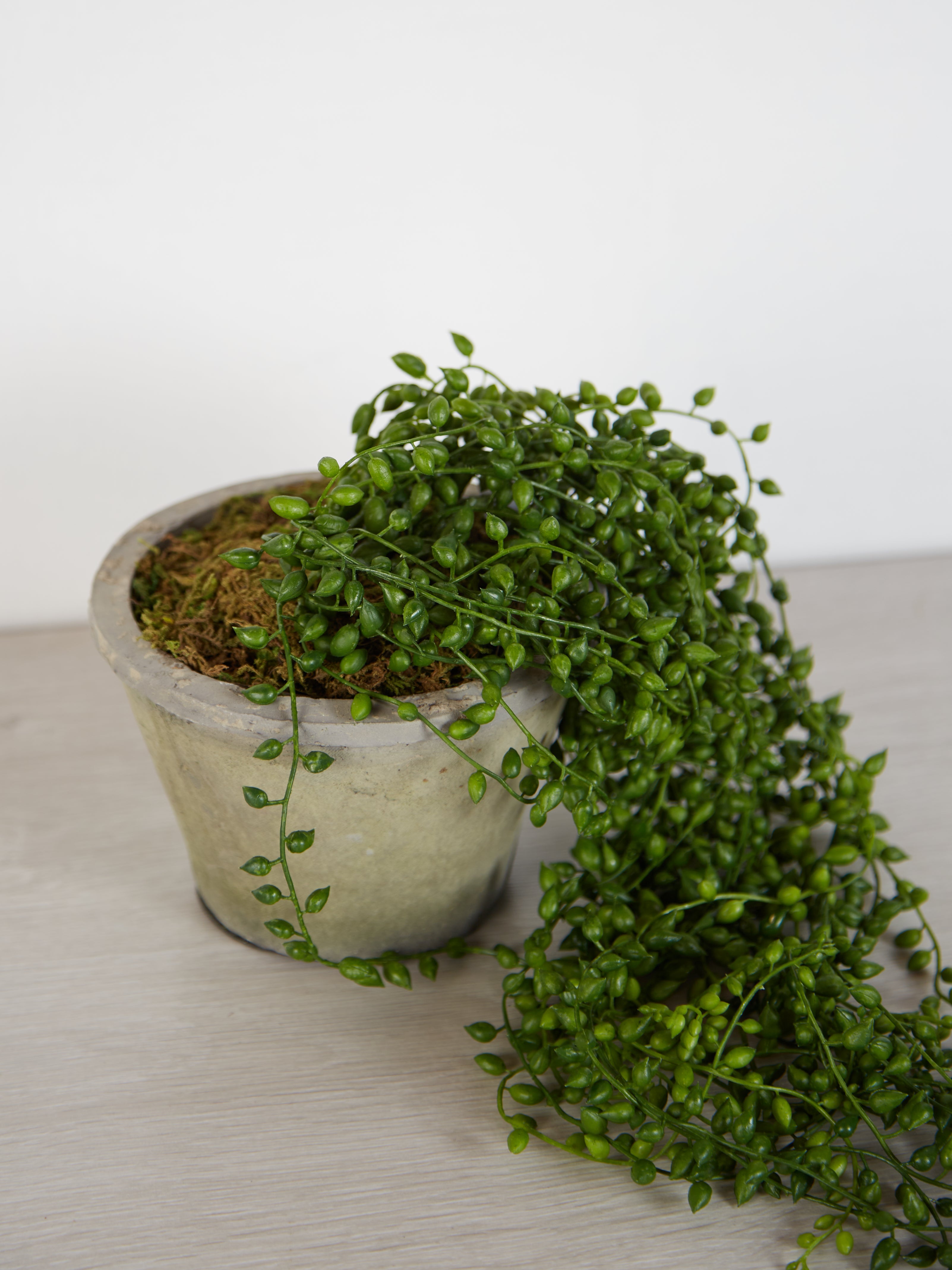 Faux String of Pearl in Cement Pot