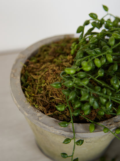 Faux String of Pearl in Cement Pot