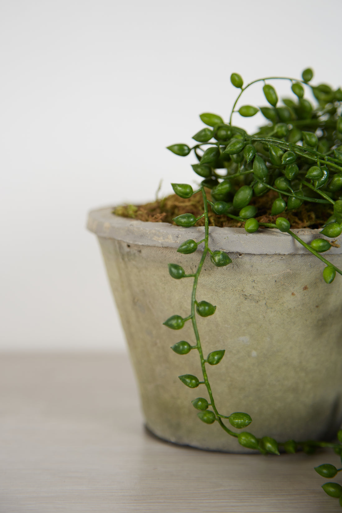 Faux String of Pearl in Cement Pot