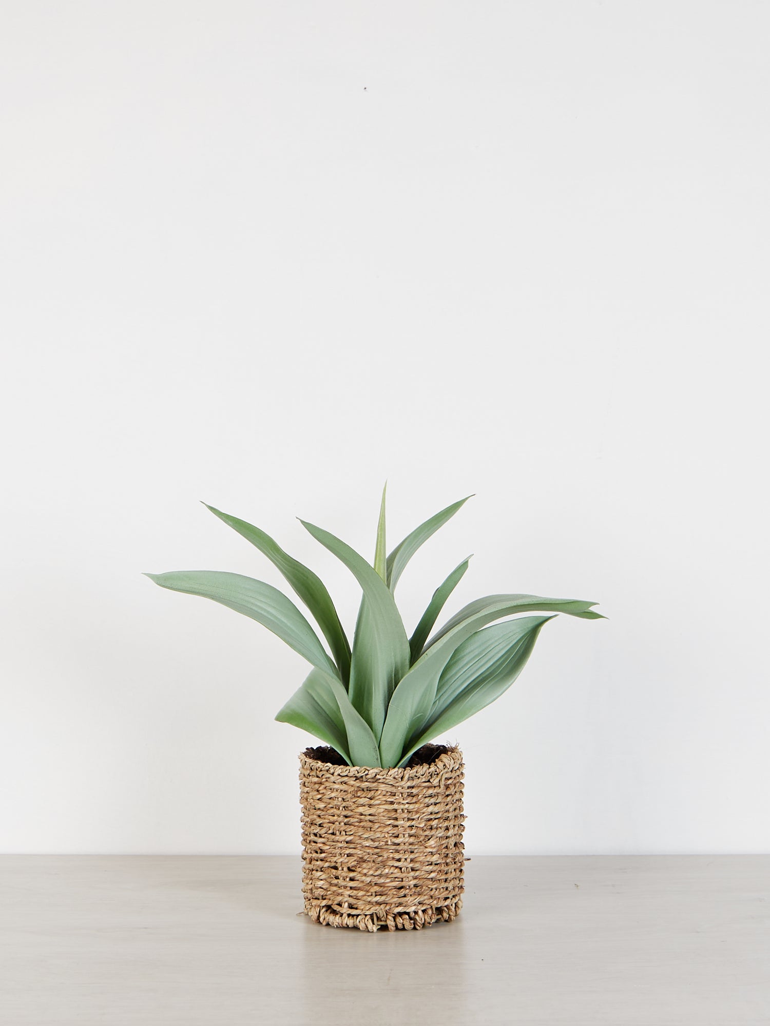 Faux Agave Plant in rattan pot