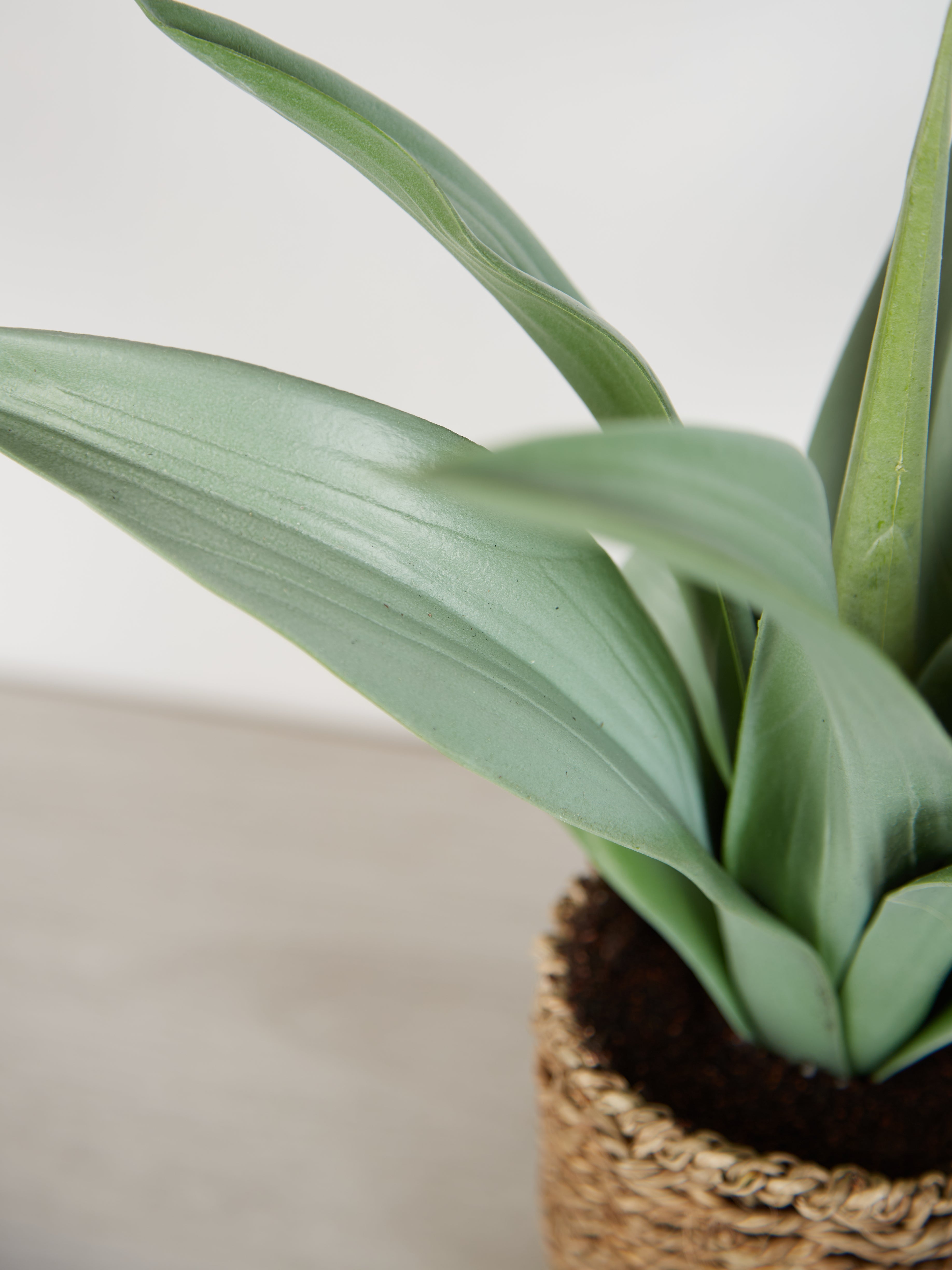 Faux Agave Plant in rattan pot