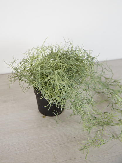 Faux Spanish Moss in Pot